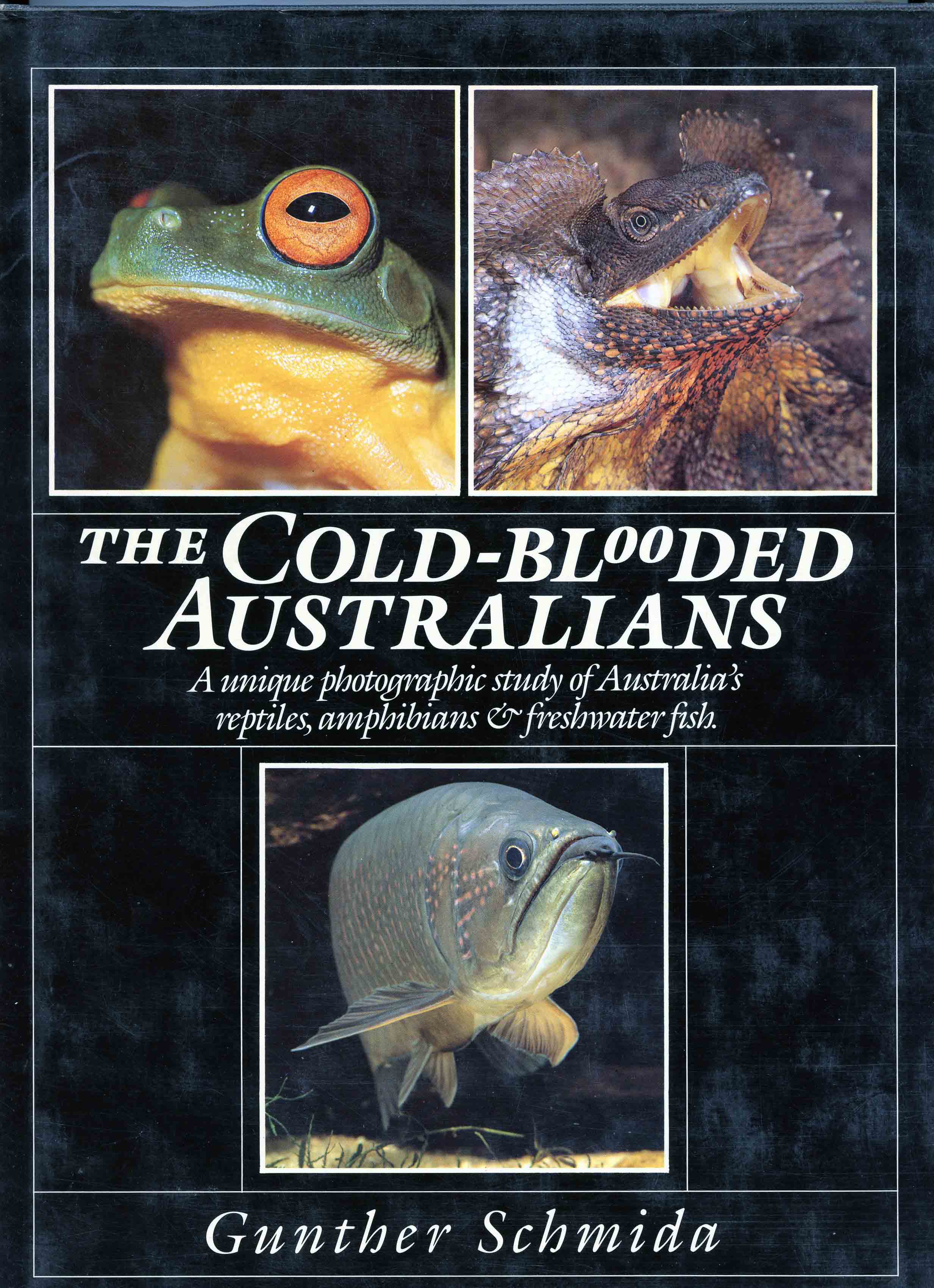 Image for The Cold-blooded Australians,